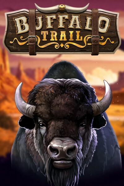 Spelcover van Buffalo Trail met een bizonkudde